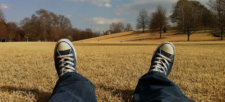 快速生成报表的电话炸弹防护业务