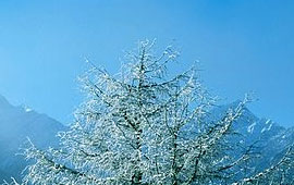 短信轰炸业务网