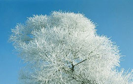 在线自动发货的电话炸弹防护业务